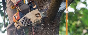 Best Lawn Irrigation Installation and Maintenance  in Ballinger, TX