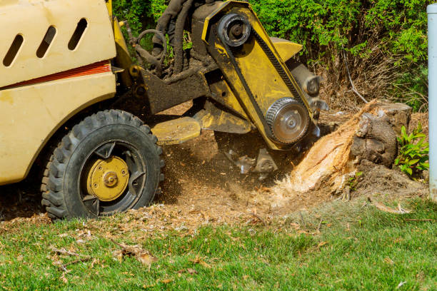 Best Weed Control  in Ballinger, TX